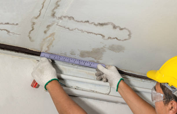 Reliable Water Damage contractor in Poca, WV by Water Damage Irwin